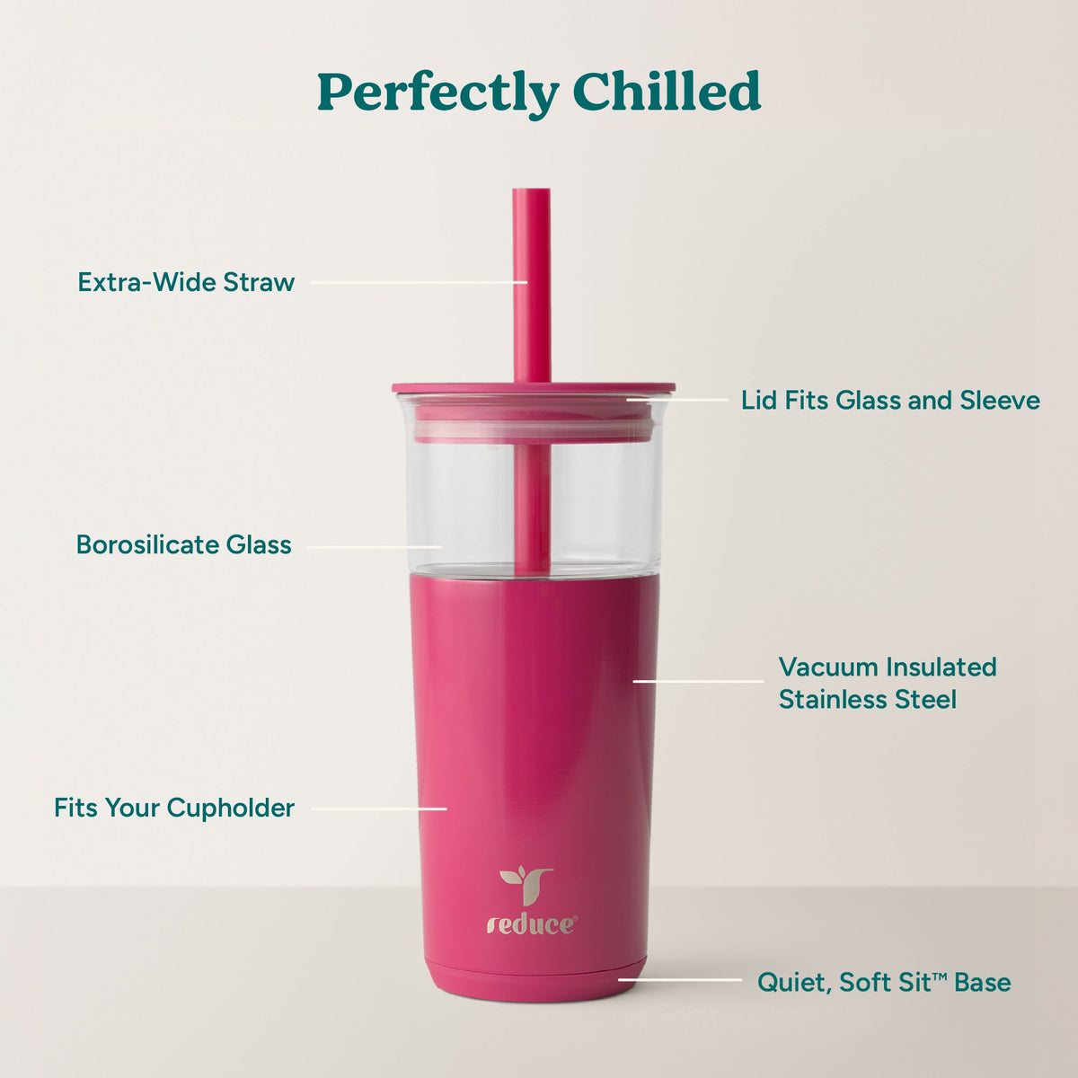aspen-20-oz-m0 Aspen_Dragonfruit_PDP_Infographic2.jpg