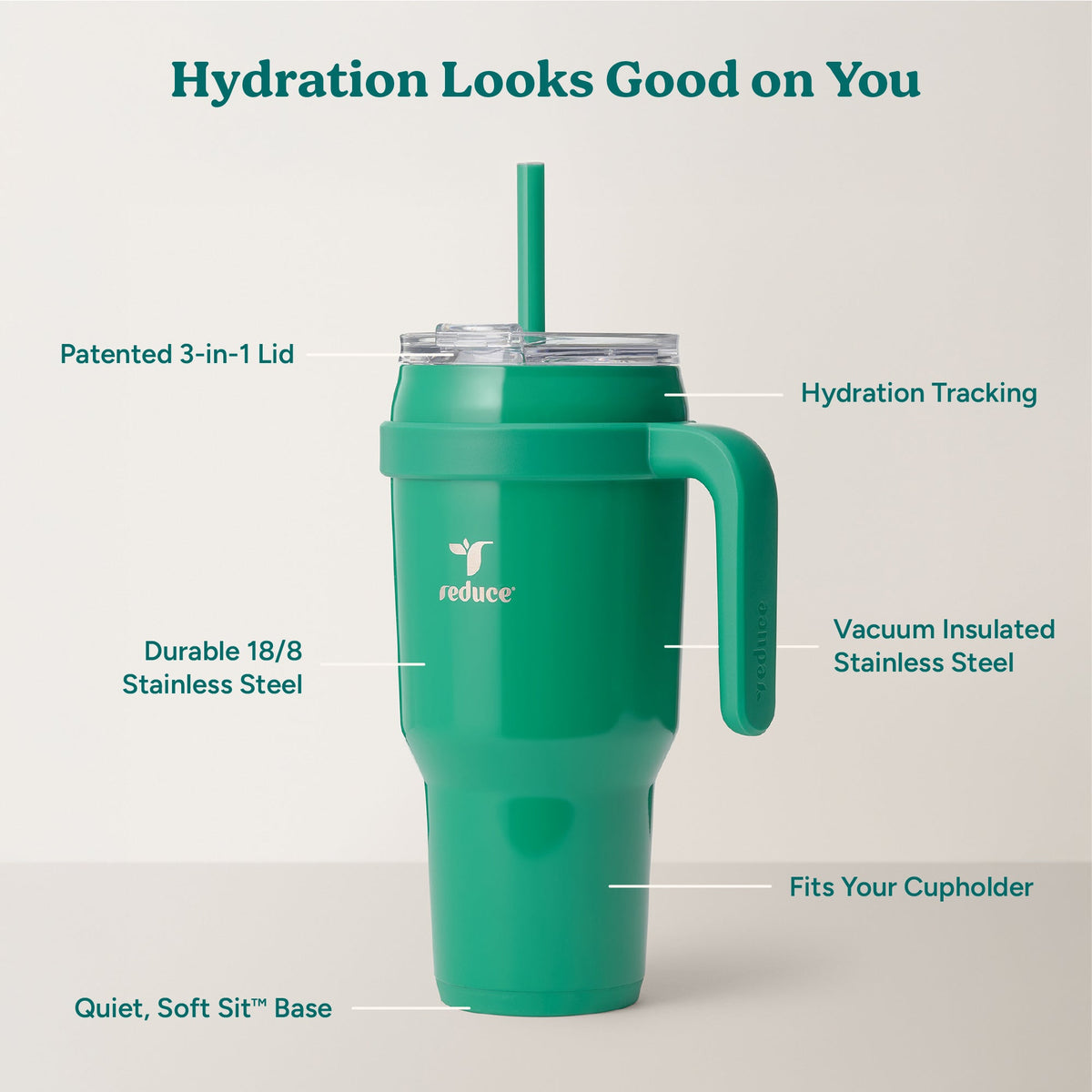cold1-40-oz-i7 Cold1_40oz_PalmLeaf_Infographic_2.jpg