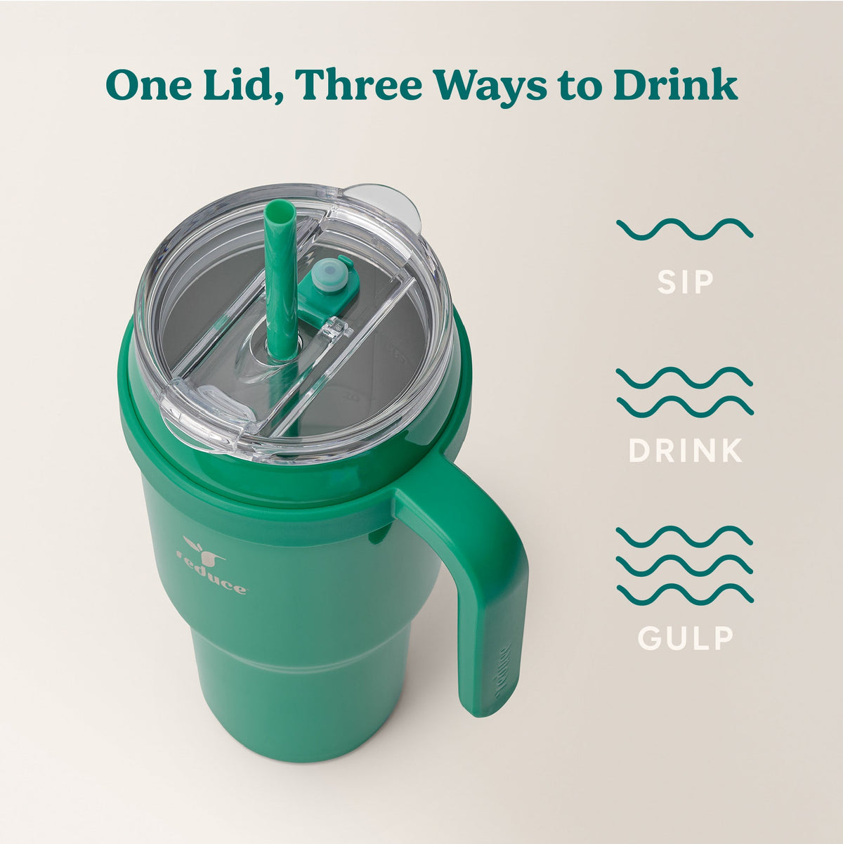 cold1-40-oz-i7 Cold1_40oz_PalmLeaf_Infographic_3.jpg